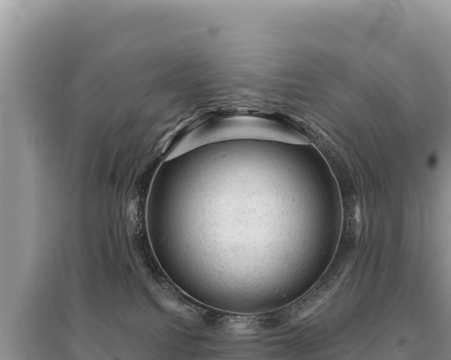 X0000095510088200712211249