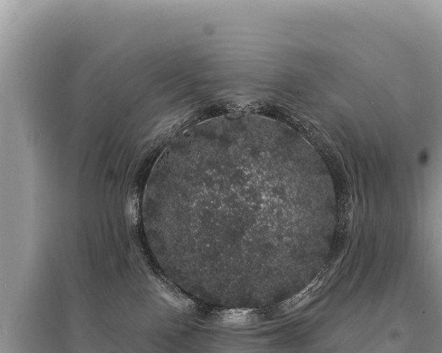 X0000095510090200712211249