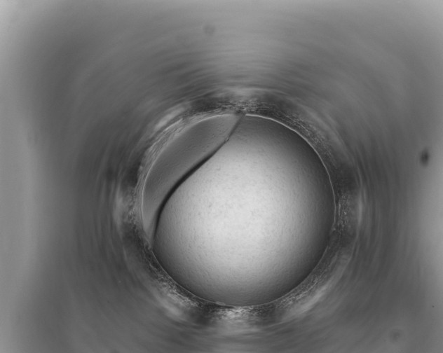 X0000095510092200712211249