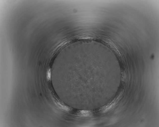 X0000095510095200712211249