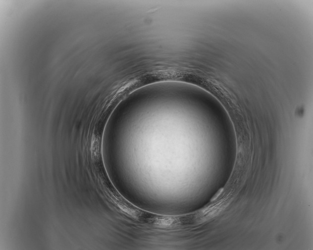 X0000095510096200712211249