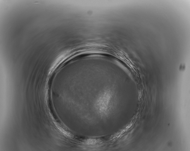 X0000095510101200712211249