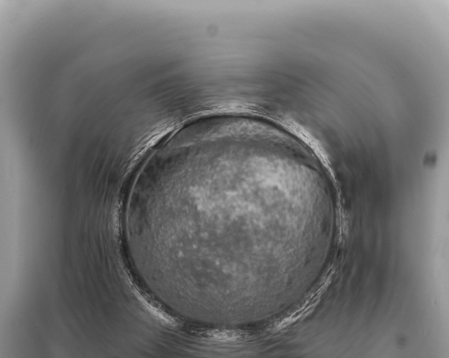 X0000095510105200712211249