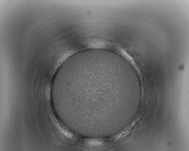 X0000095510106200712211249