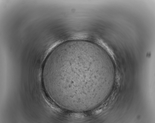 X0000095510107200712211249