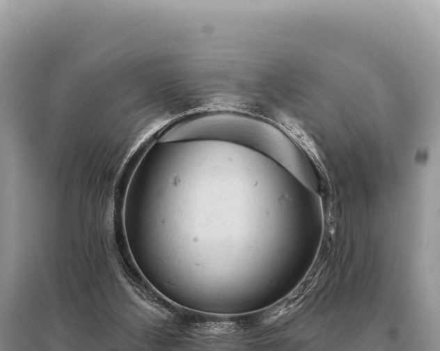 X0000095510108200712211249
