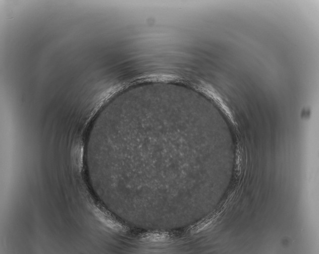 X0000095510110200712211249