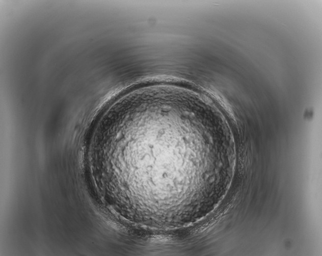 X0000095510111200712211249