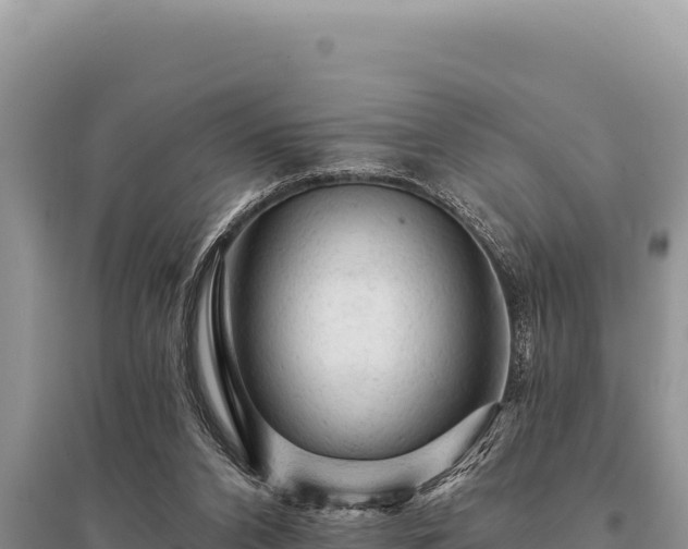 X0000095510112200712211249