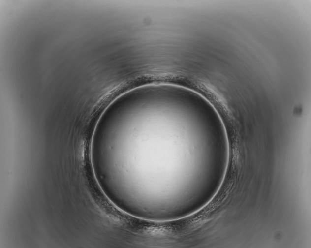 X0000095510115200712211249