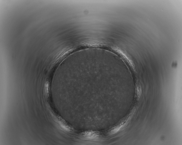 X0000095510117200712211248
