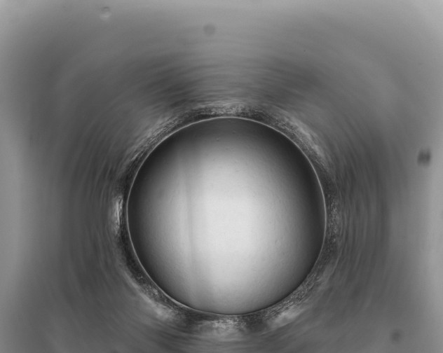 X0000095510118200712211248