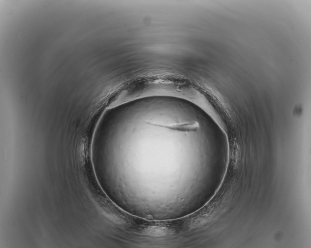 X0000095510119200712211248