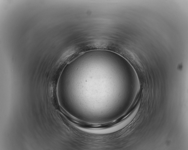 X0000095510120200712211248