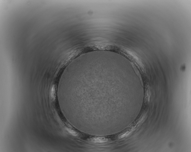 X0000095510121200712211248