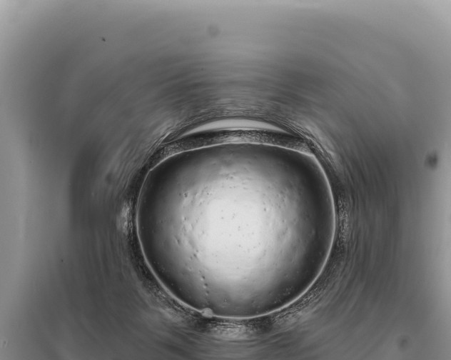X0000095510123200712211248