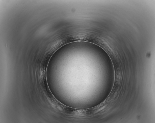 X0000095510126200712211248