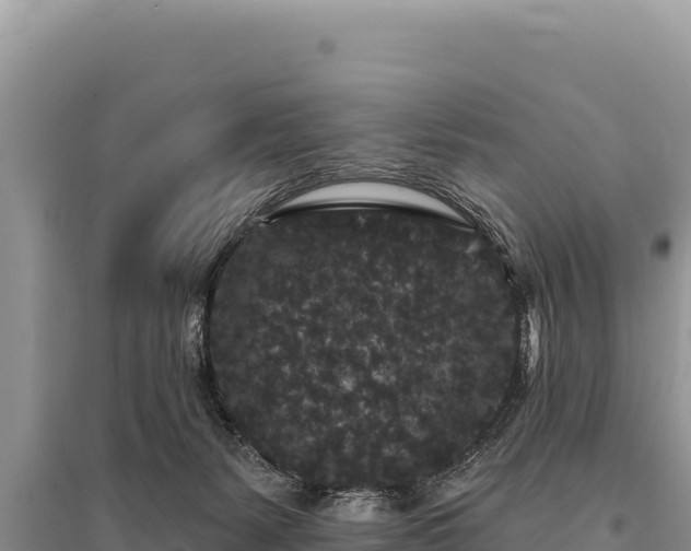 X0000095510127200712211248
