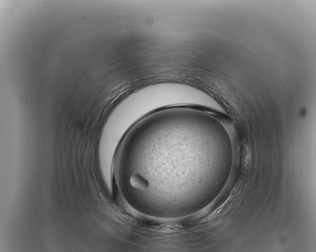 X0000095510128200712211248