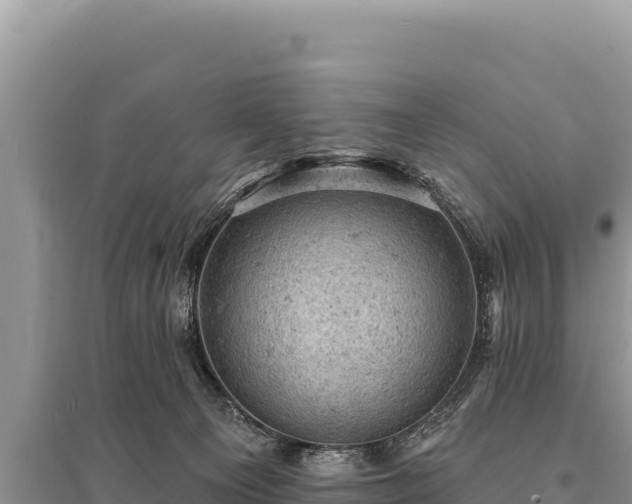 X0000095510129200712211248