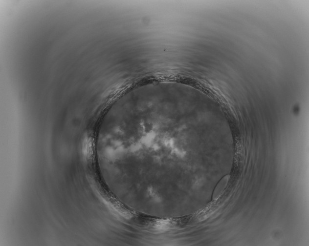 X0000095510130200712211248