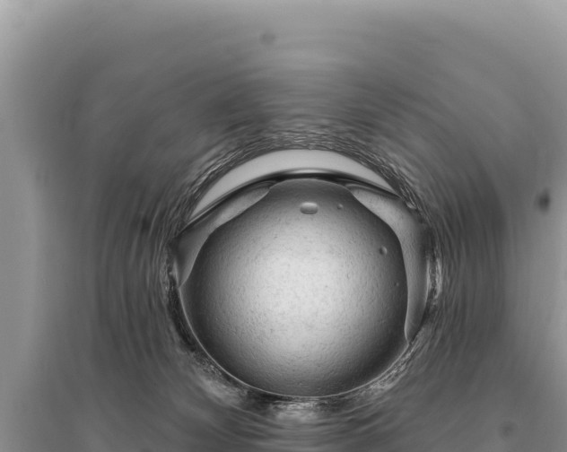 X0000095510132200712211248