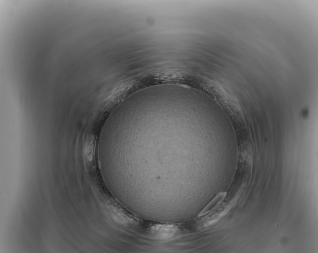 X0000095510133200712211248