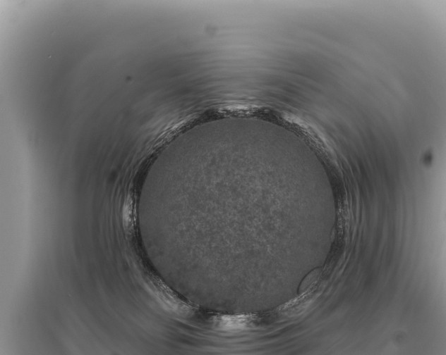 X0000095510134200712211248