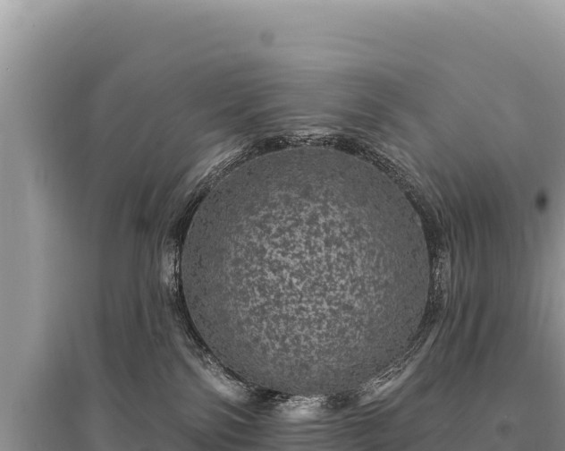 X0000095510138200712211248