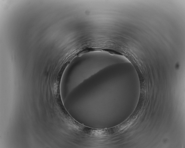 X0000095510139200712211248