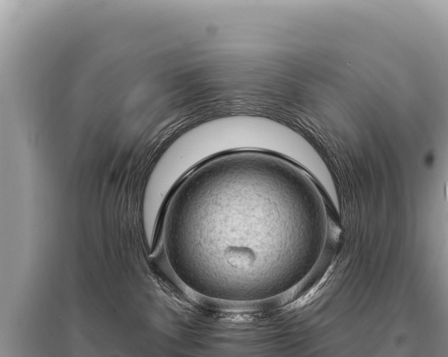 X0000095510140200712211248