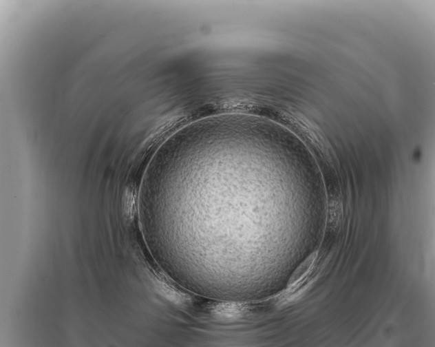 X0000095510142200712211248
