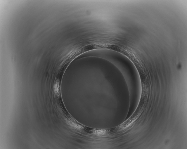 X0000095510143200712211248