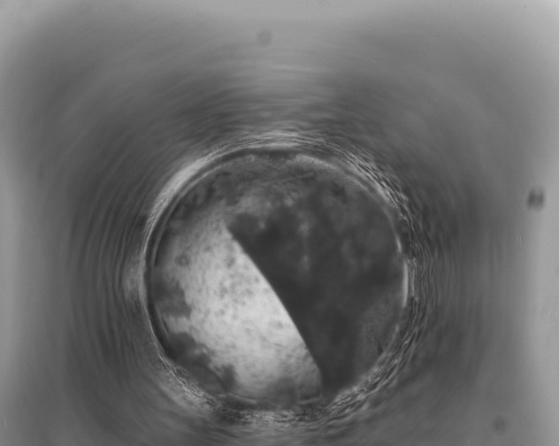 X0000095510147200712211247