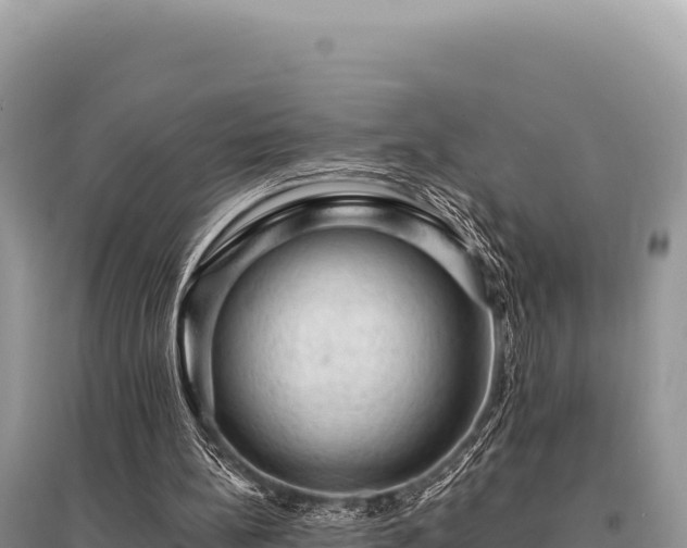 X0000095510148200712211247