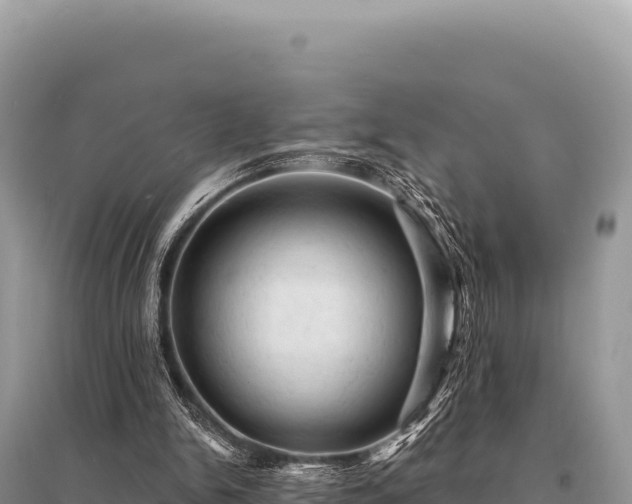 X0000095510150200712211248