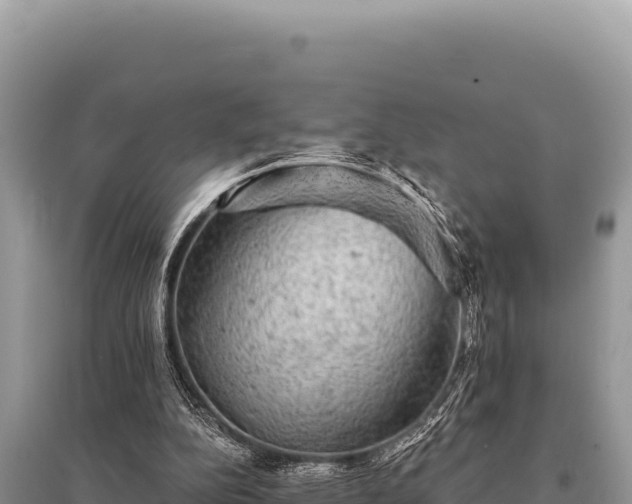 X0000095510152200712211248