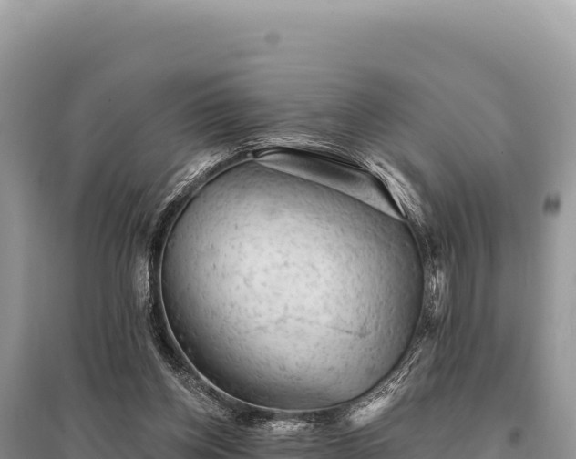 X0000095510158200712211248