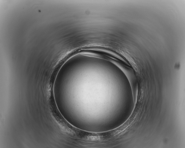 X0000095510160200712211248