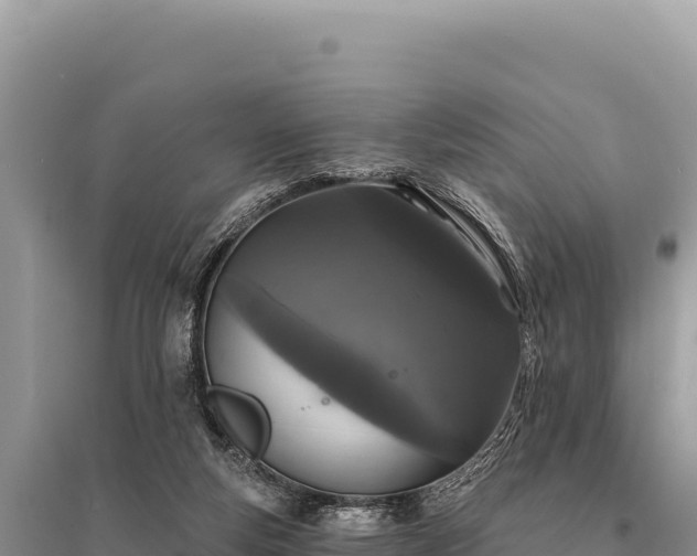 X0000095510163200712211248