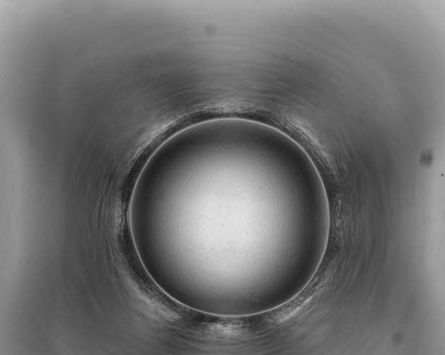 X0000095510164200712211248
