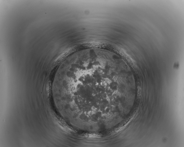 X0000095510165200712211248