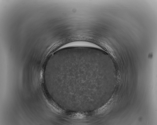 X0000095510166200712211248