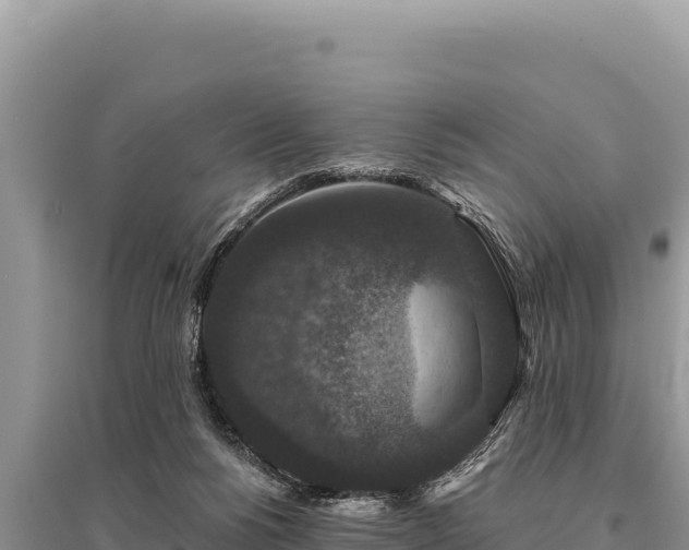 X0000095510168200712211248