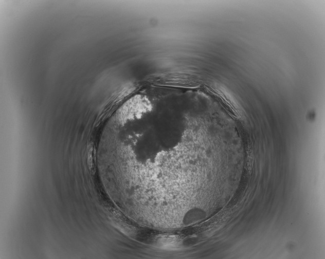 X0000095510169200712211248