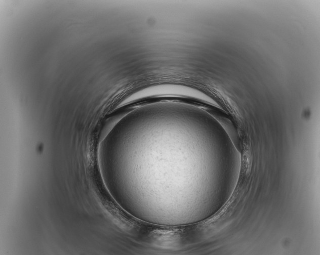 X0000095510170200712211248