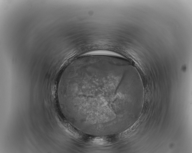 X0000095510171200712211248