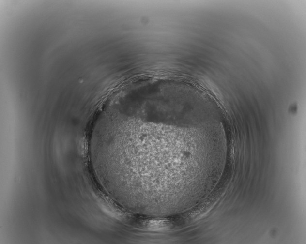 X0000095510173200712211248