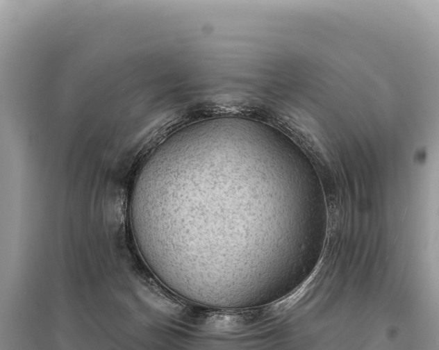 X0000095510174200712211248
