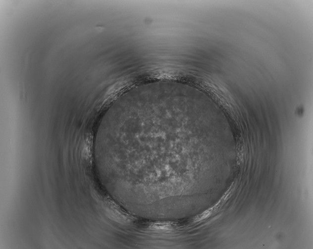 X0000095510175200712211248